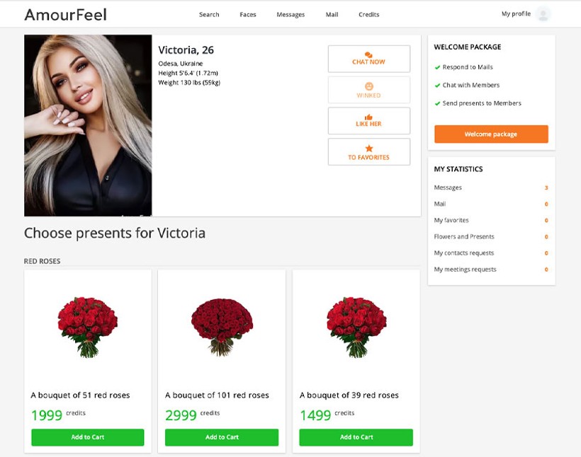 AmourFeel Reviews: Cost & Features